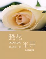美利堅巔峰人生