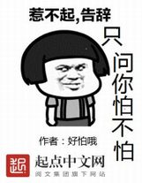 醫道贅婿