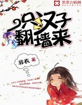 醫王贅婿