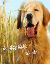 全滅