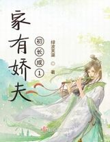 三妻四妾电影完整版免费播放HD在线观看